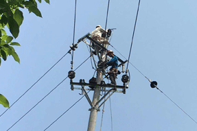 农村架空线路经过私人宅基有权砍个人的树木吗