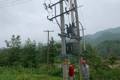 新化电力公司开展配网线路通道治理活动