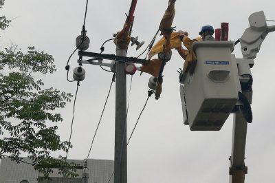 湖北电力：助力“小黄人”科学成长