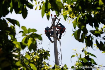 淄博供电公司针对防爆支线进行T接线路建设
