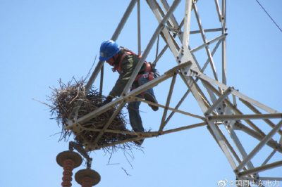 烟台供电公司攀爬高空铁塔检修线路