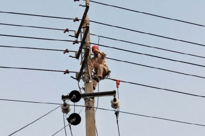 金湖县供电公司组织人员改造电网