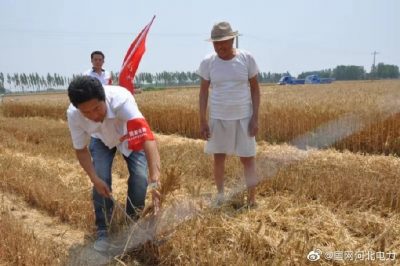 清河供电公司在田间给农民开展用电宣传