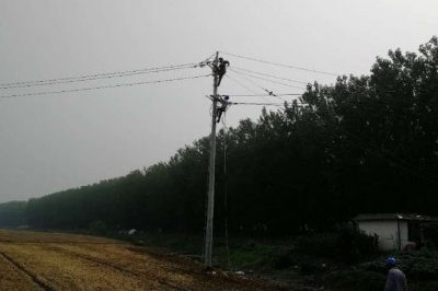 泗洪供电公司对陈圩10千伏陈西166线进行线路改造