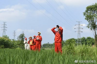 铜梁供电公司对35千伏天平线开展无人机巡视