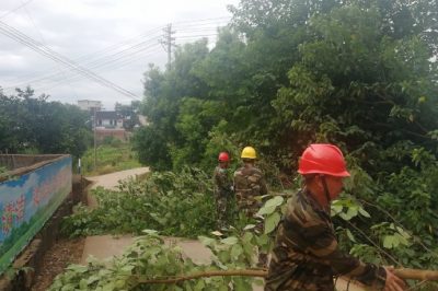 高压配电抢修班早上五点出发巡线砍青，消除线路隐患