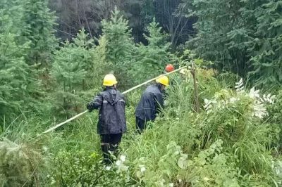 过泥泞，涉洪水，穿山谷，冒雨巡线护电，第一时间处理灾情险情