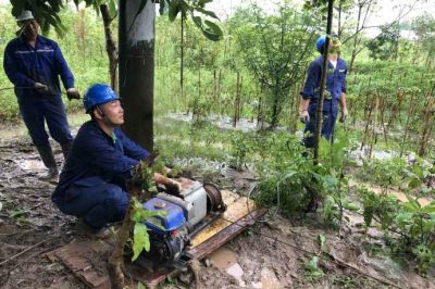 乐山电力抢修110千伏线路故障，迅速恢复供电