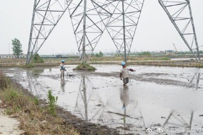 架设线路、安装电缆引下线，解决农民秸秆焚烧问题