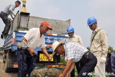 罗虾塘出虾  供电人出力助虾农拉网出虾