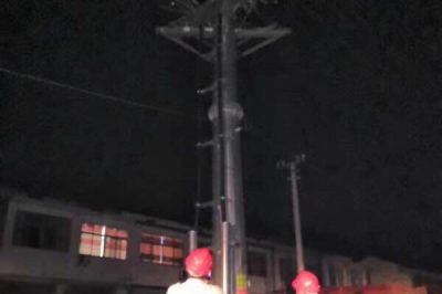 10kⅤ线路柱上开关、变压器桩头、高压线路导线搭头处等进行红外测温