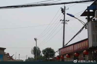 平阴县供电公司组织对线路进行绝缘化升级改造