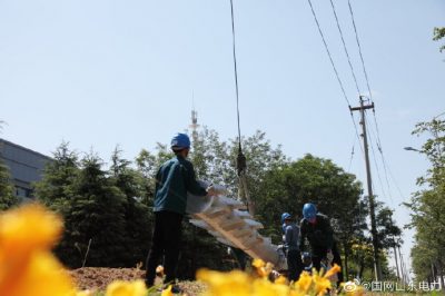 110千伏石虎站10千伏南潘线招辛线双回架设施工现场