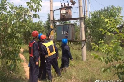 10千伏洛平513线路开展雨后特巡，力保供电可靠