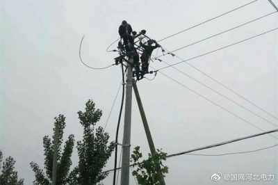 新河县供电公司092西工线线路改造，更换大直径绝缘导线