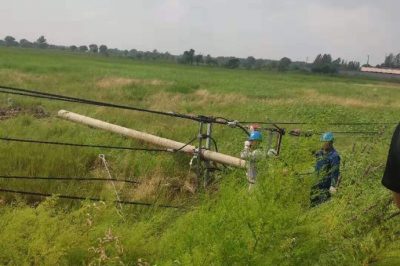 齐齐哈尔供电公司紧急抢修多条10千伏停电线路