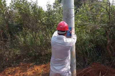 耒阳供电公司对10千伏南集线绑扎号杆牌悬挂安全警示牌