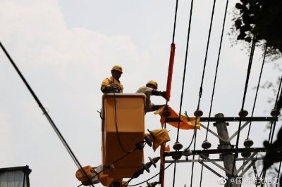武汉供电公司在10千伏英武线开展带电作业