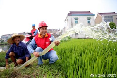 村民抗旱排灌采用电瓶车+直流水泵灌溉农田