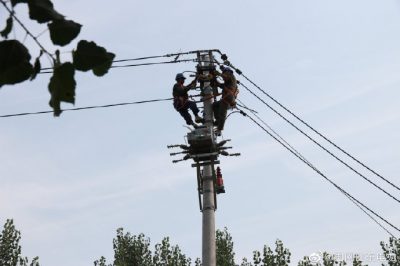 东阿县供电公司新架设电杆5基、绝缘导线1000米