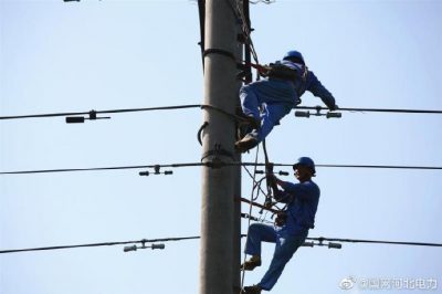新乐市供电公司陶彭35千伏线路2-15号杆检修更换老旧防震锤