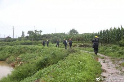 海兴县供电公司对10千伏海小线进行隐患排查