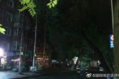 大树倾倒导致10千伏元合线苗圃线停运并伴有电火现象