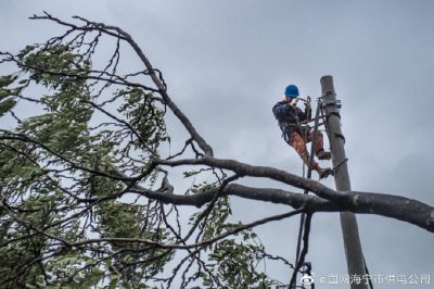 “利奇马”致海宁电网多处受损  11日下午全部恢复通电
