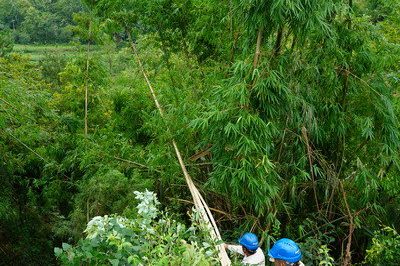 万州供电公司抢修10千伏线路安装新导线成功送电