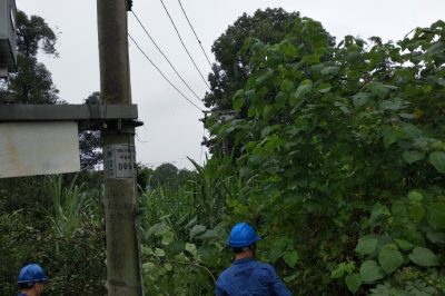 天府新区供电公司冒雨对线路通道进行清理