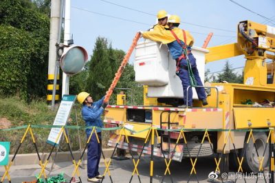 平阴县供电公司带电更换避雷器