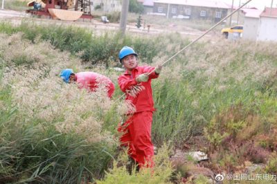 东营区供电公司110千伏大学站10千伏孙家线电杆进行检修消缺