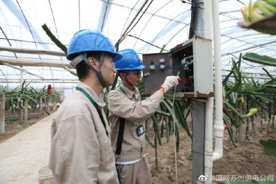 对火龙果种植基地内的用电设备进行安全隐患检查