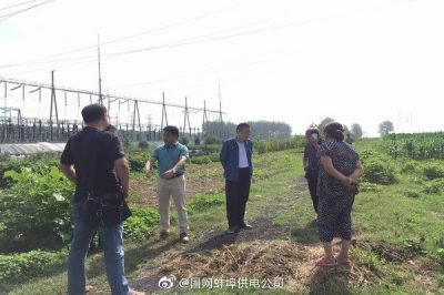 协调治理220千伏线路铁塔下方保护区内违章建塑料大棚隐患