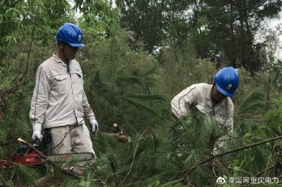 綦南供电公司对供电辖区10千伏坝扶线电力通道进行树障砍伐清理