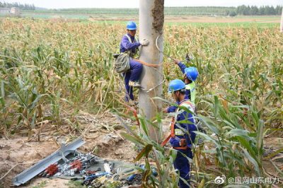 孝直镇前洼村某牧业新建线路工程