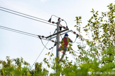 长岛县供电公司在花沟村进行检修消缺