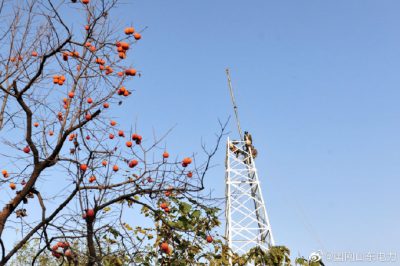 青州市供电公司登高组立10千伏公社线铁塔