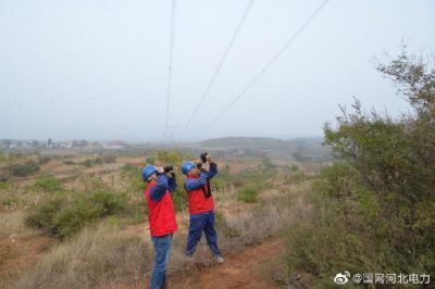 元氏县供电公司巡视500千伏线路  清理树障