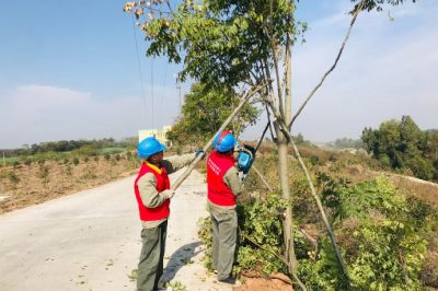 10kV段集线线路通道内树障进行清理