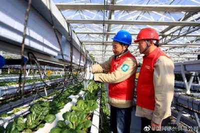深入梁集镇现代农业示范园了解用电情况