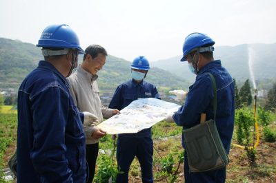 央视：电力服务不等闲 金银花开致富路