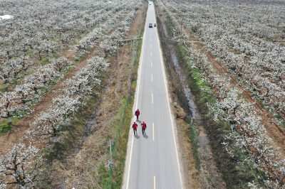 安徽砀山：电靓“梨花节”