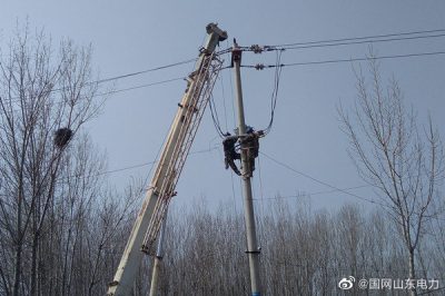 阳春三月检修忙 拆旧换新强电网