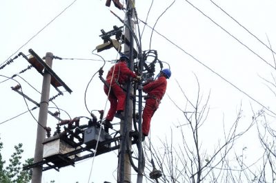 利津县供电公司对10千伏津三线进行线路改造