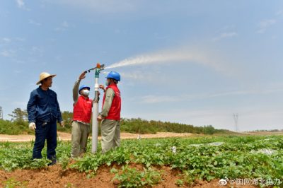 采用电气化喷灌，节能又增收