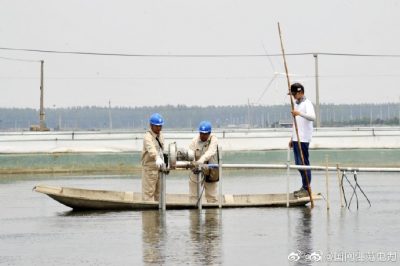 新增配电变压器为湖畔生态农场添“动力”