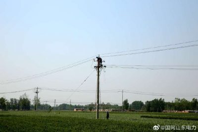 阳谷县供电公司对10千伏鲁坊线进行全面改造升级