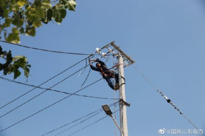 东阿县供电公司对西张村线路进行升级改造