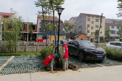 安装太阳能庭院灯作为路灯